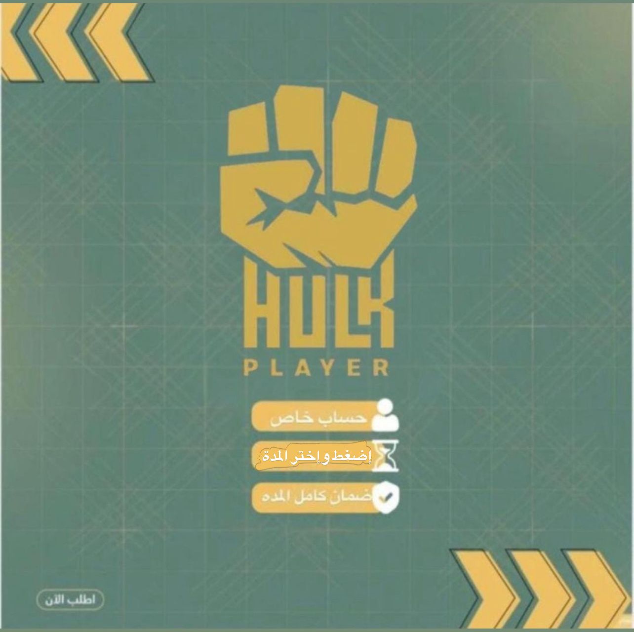 اشتراك هولك