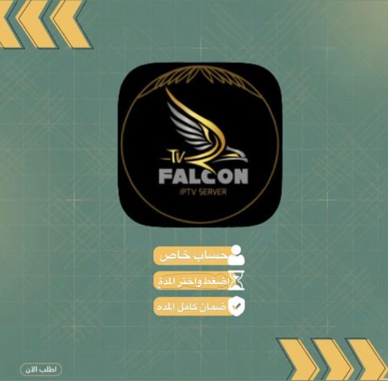 اشتراك فالكون 