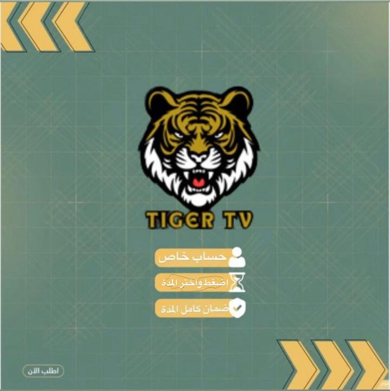 اشتراك تايقر